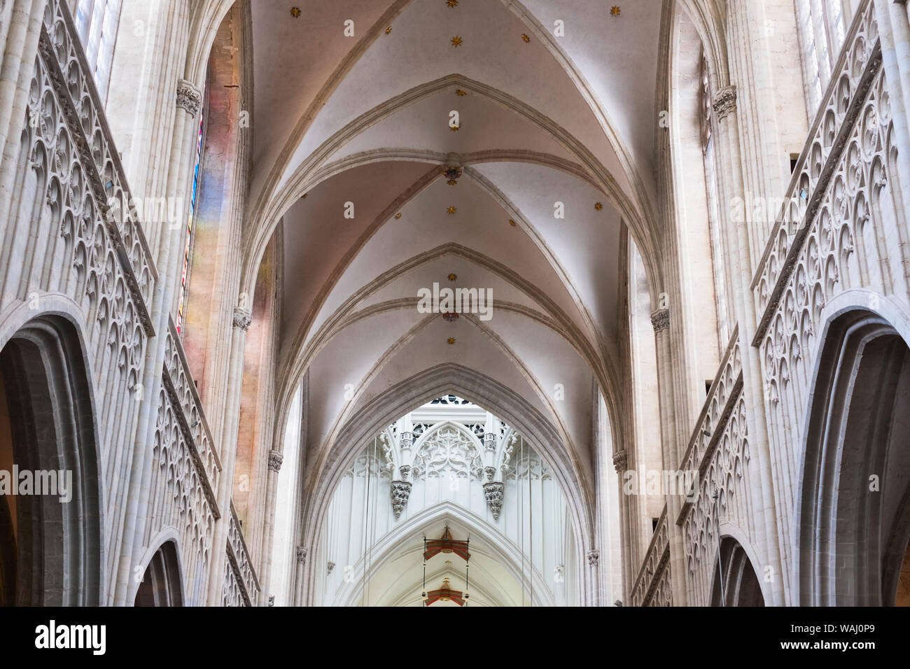 antwerp belgium cathedral of our lady