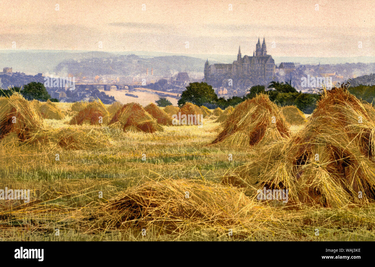 Grain sheafs placed for drying ,  (postcard, ) Stock Photo