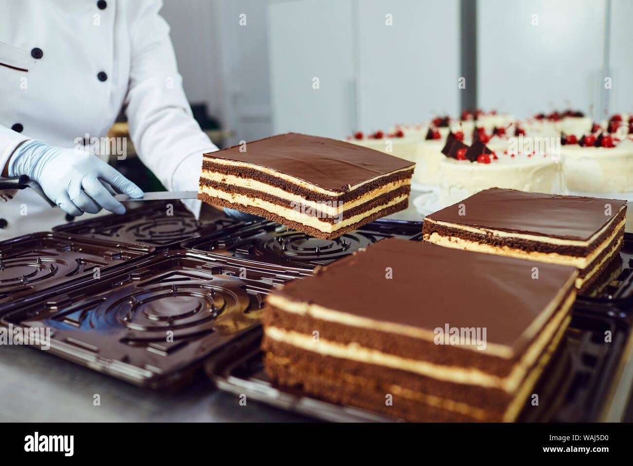 The hands of a pastry chef pack a cake in the bakery. Stock Photo