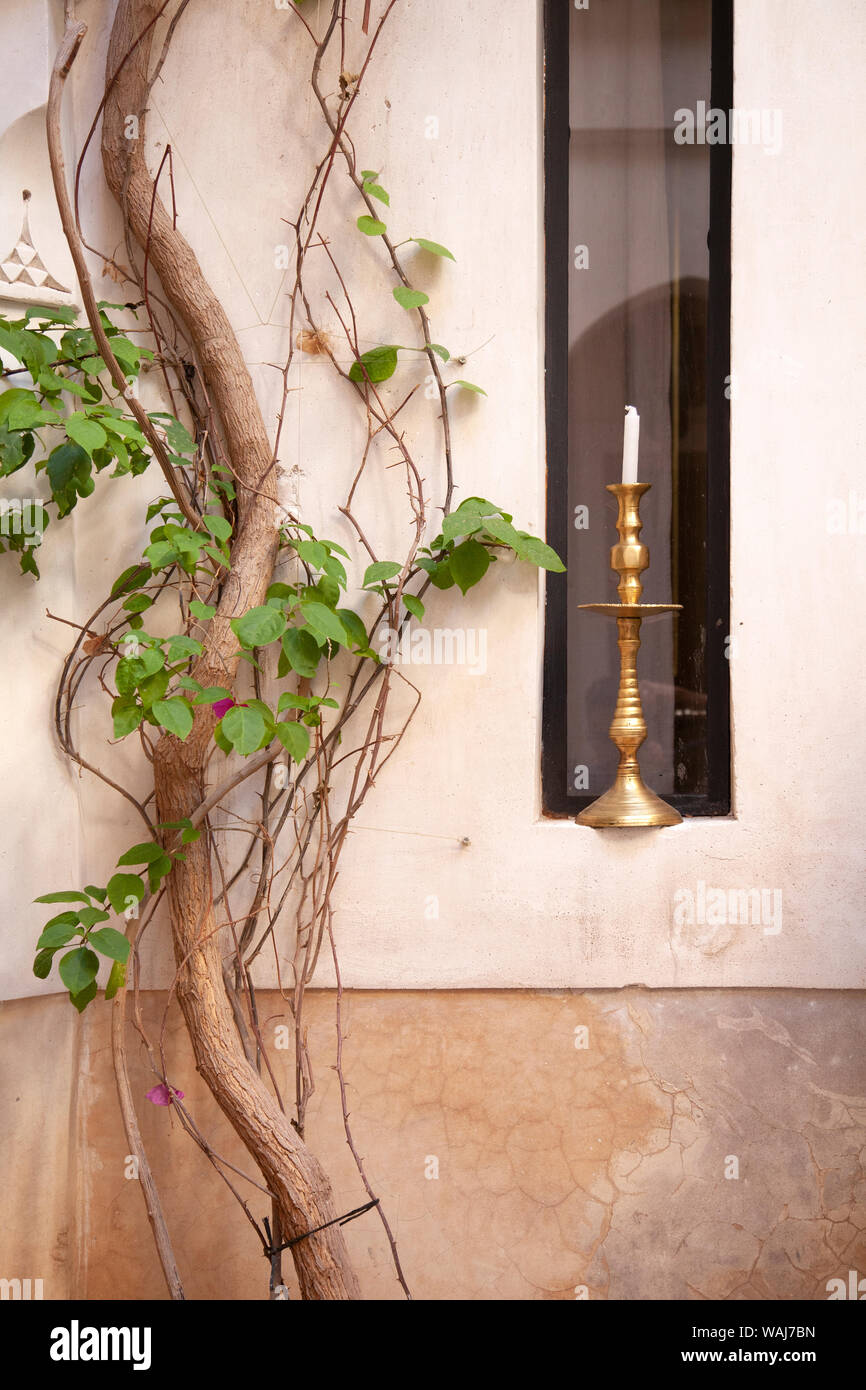 Candlestick in Window next to Vine Stock Photo Alamy