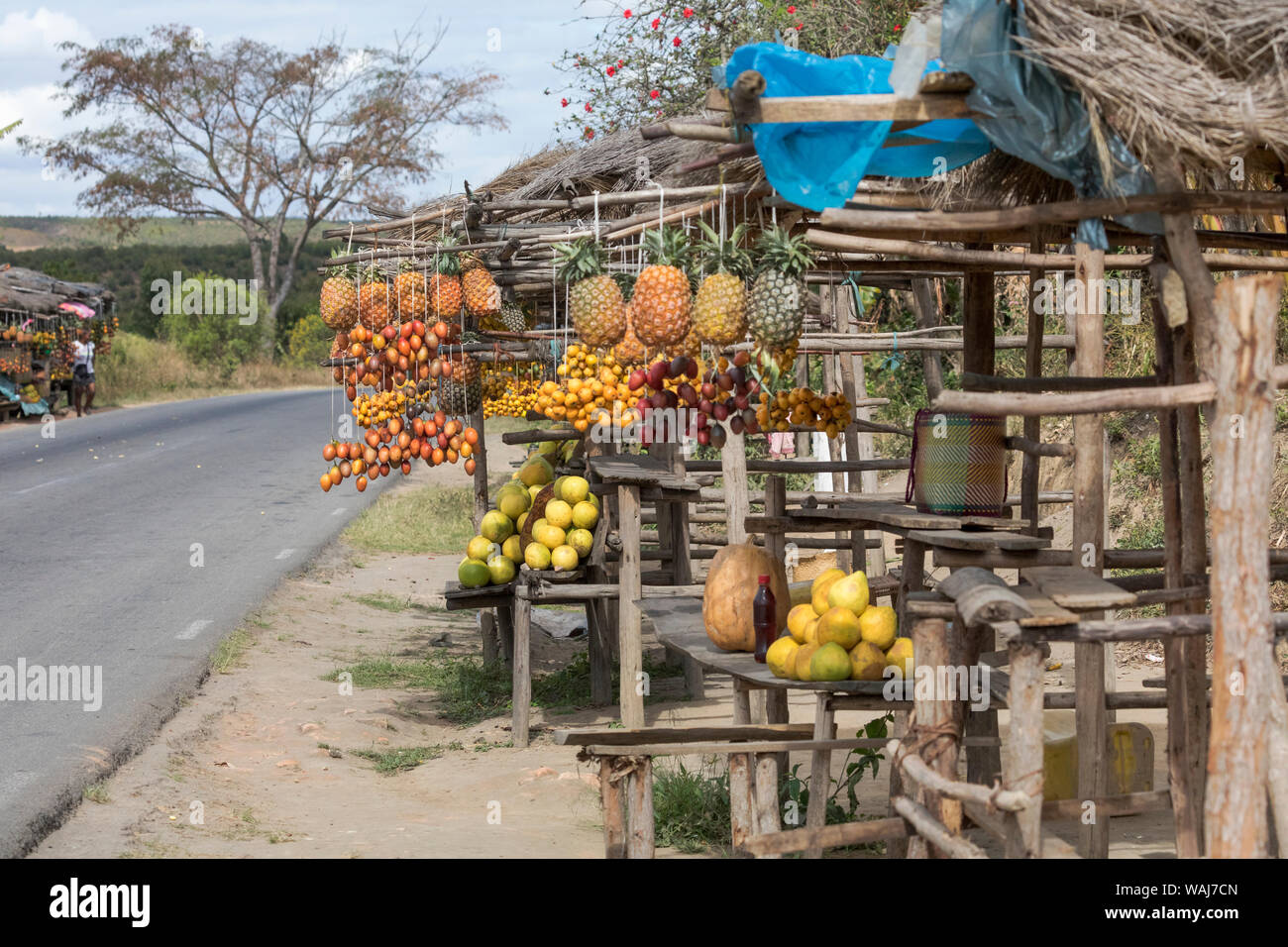 Africa Madagascar Near Antananarivo Roadside Fruit Standing With africa-madagascar-near-antananarivo-roadside-fruit-standing-with