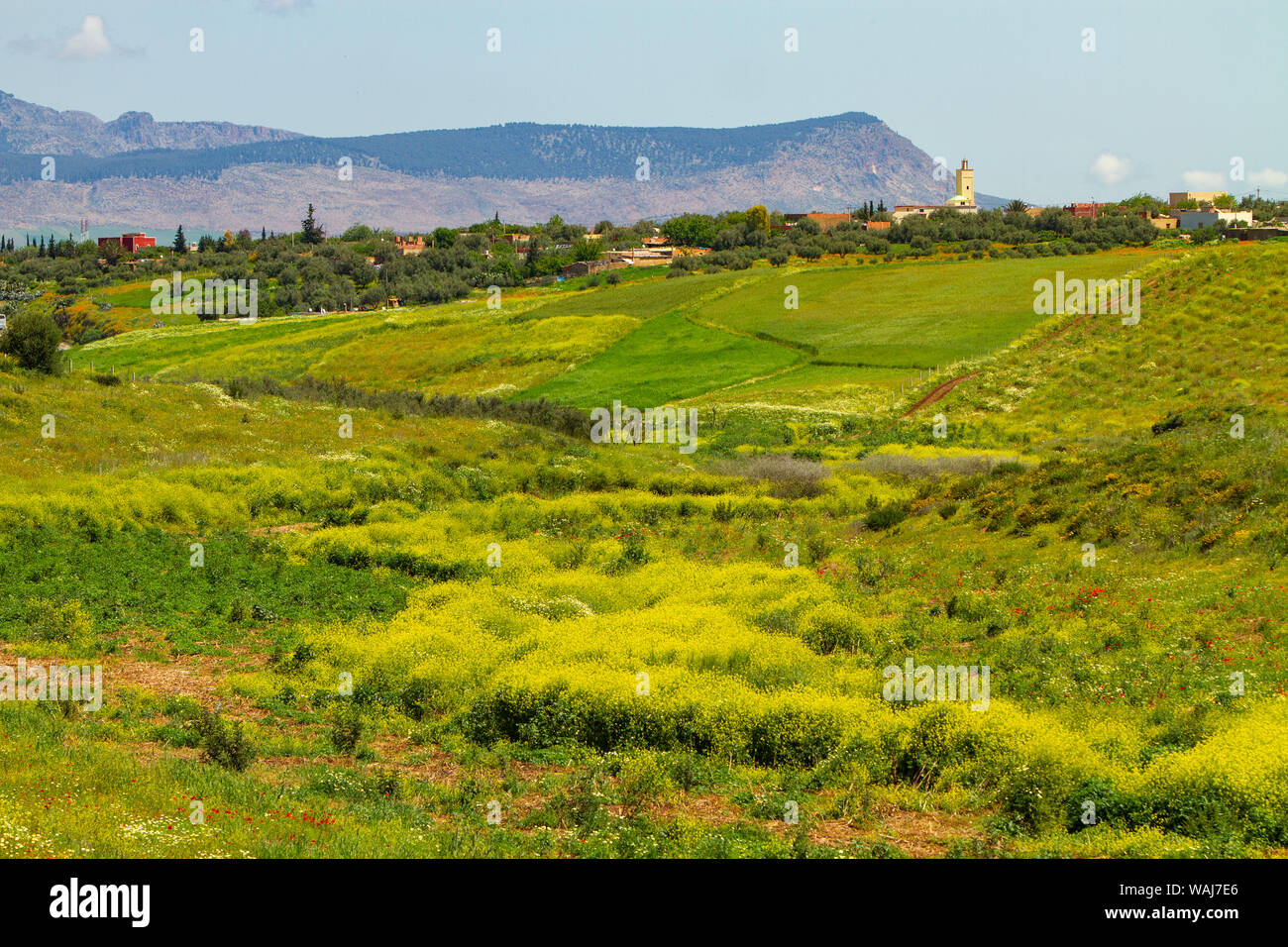 Fez, Morocco. Moroccan landscape Stock Photo