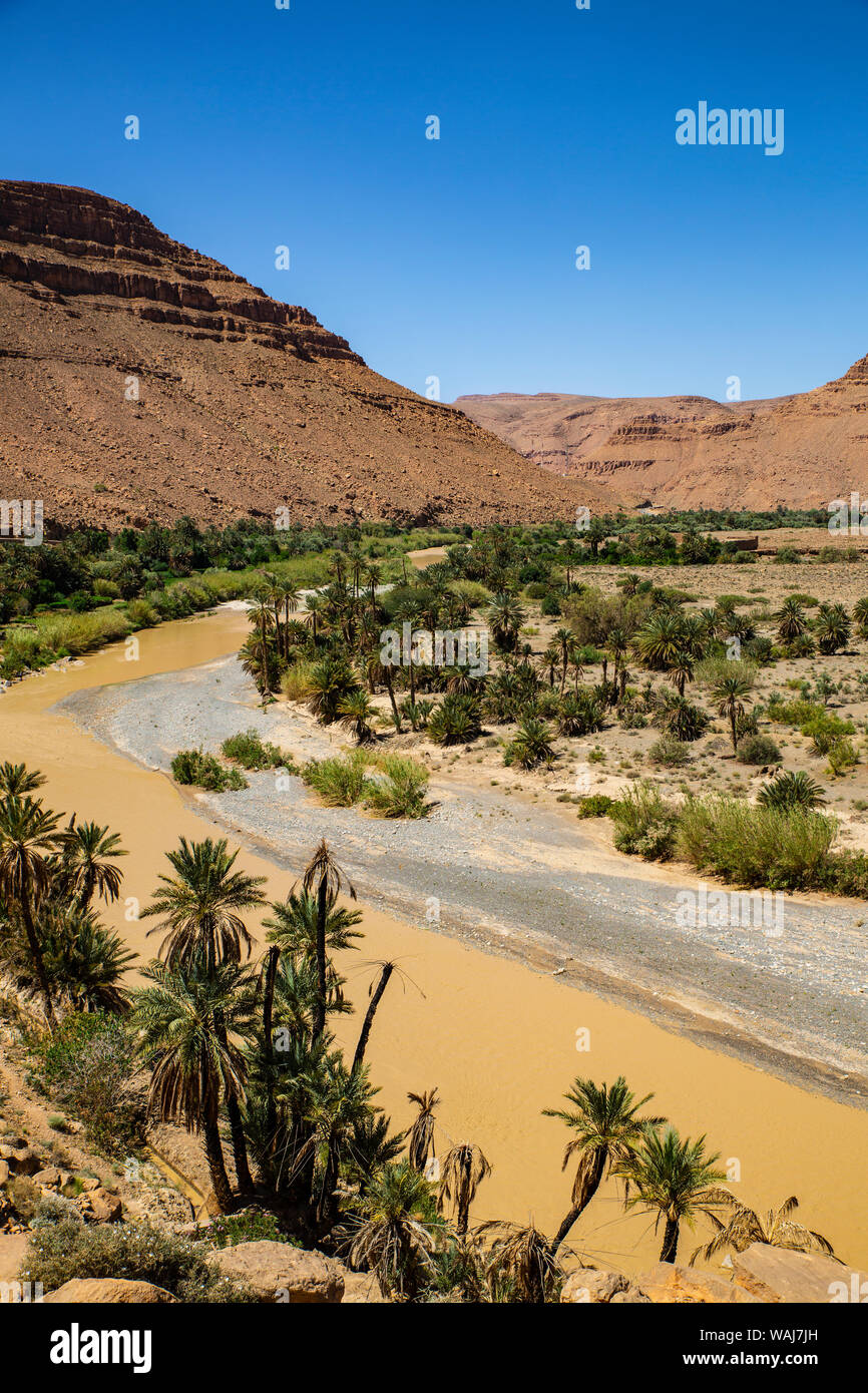 Ziz Valley, Morocco. Ziz Valley Gorge and palm trees Stock Photo
