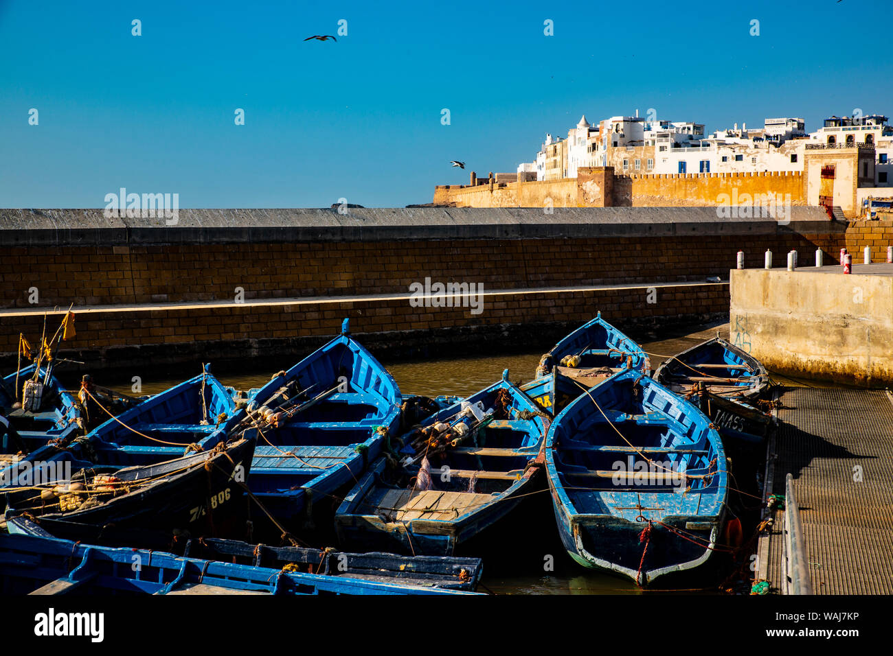 Essaouira, Morocco. Seagulls flying, wooden boats, walled city Stock Photo