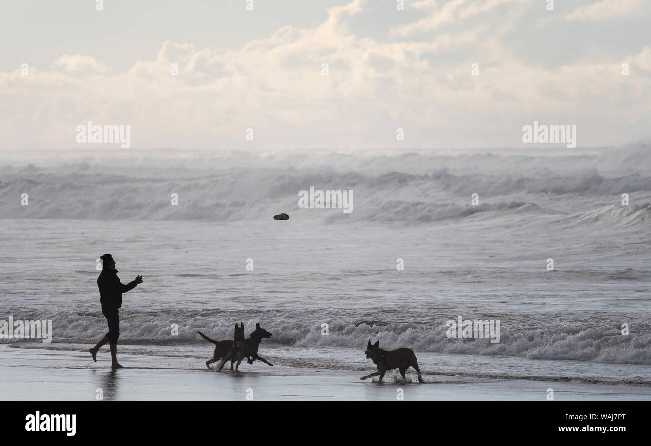 Africa, Morocco, Casablanca. Man playing with dogs on ocean shore. Credit as: Bill Young / Jaynes Gallery / DanitaDelimont.com (Editorial Use Only) Stock Photo