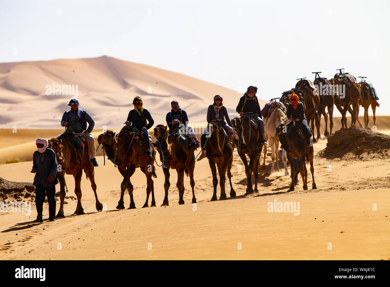 Merzouga, Erg Chebbi, Morocco. Camel trek Stock Photo