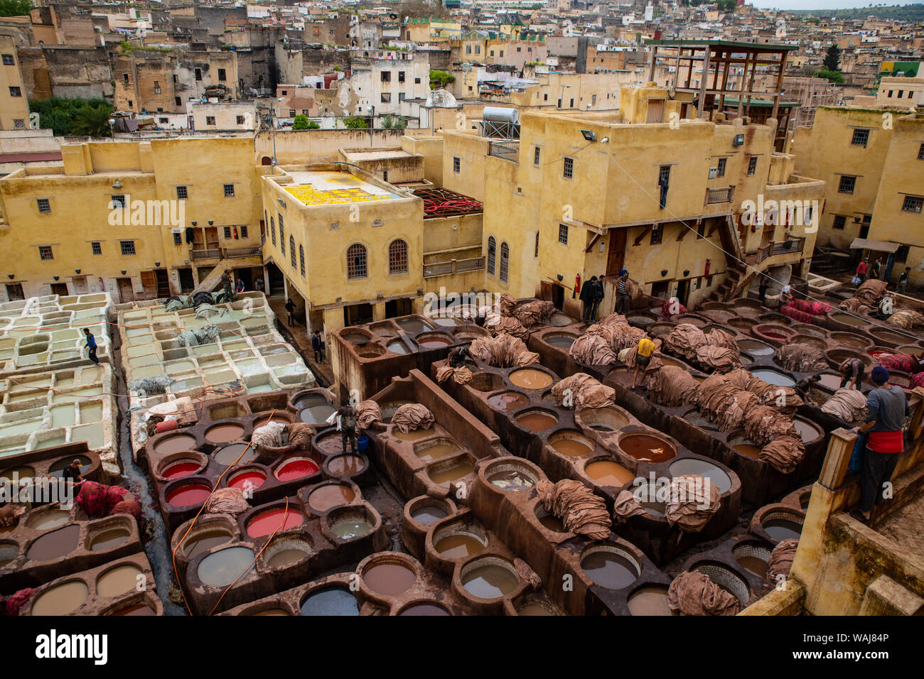 Fez, Morocco. Chouara Tannery, workers preparing leather Stock Photo