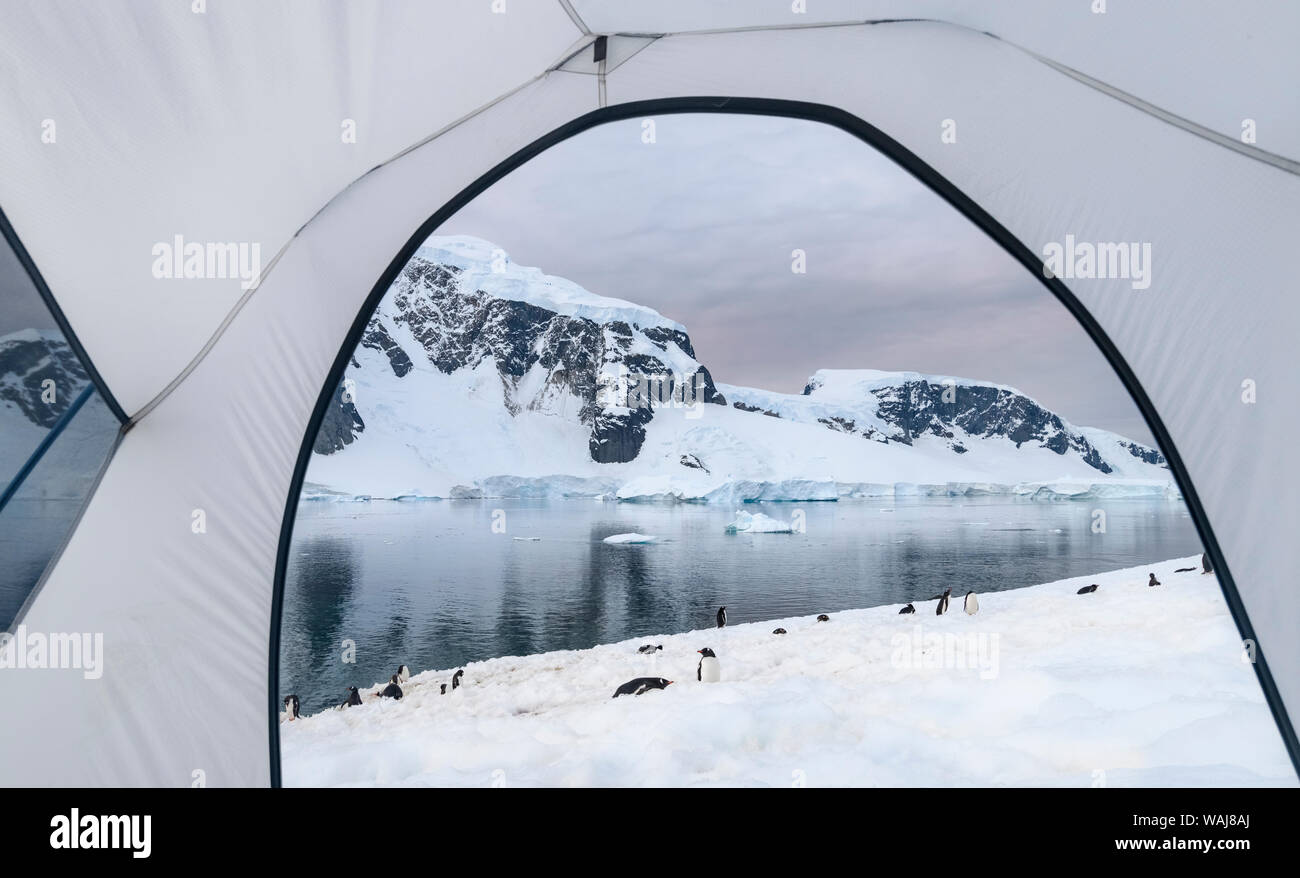 Antarctic Peninsula, Antarctica, Danco Island. Camping view. Stock Photo