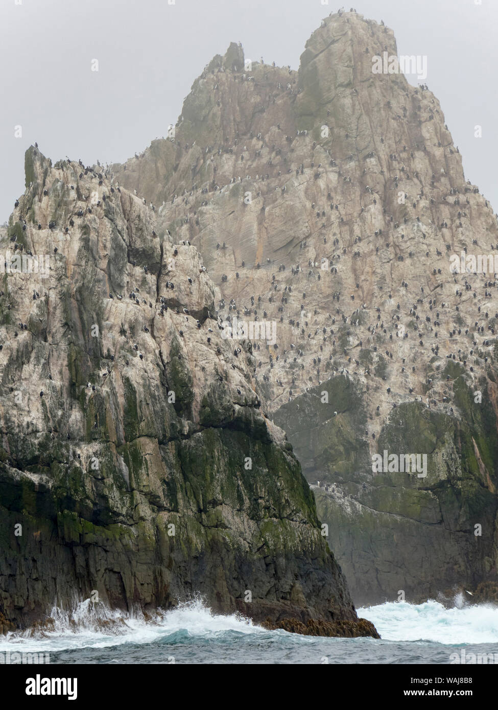 The Shag Rocks close to South an uninhabited group of rocky