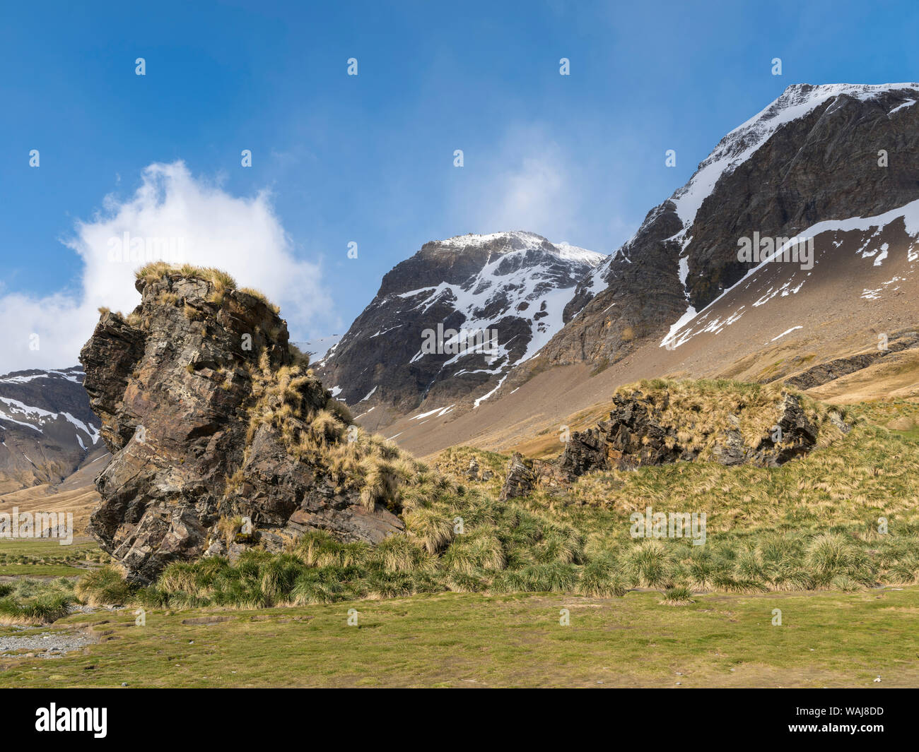 Fortuna Bay, made famous by Ernest Shackleton's famous crossing of ...