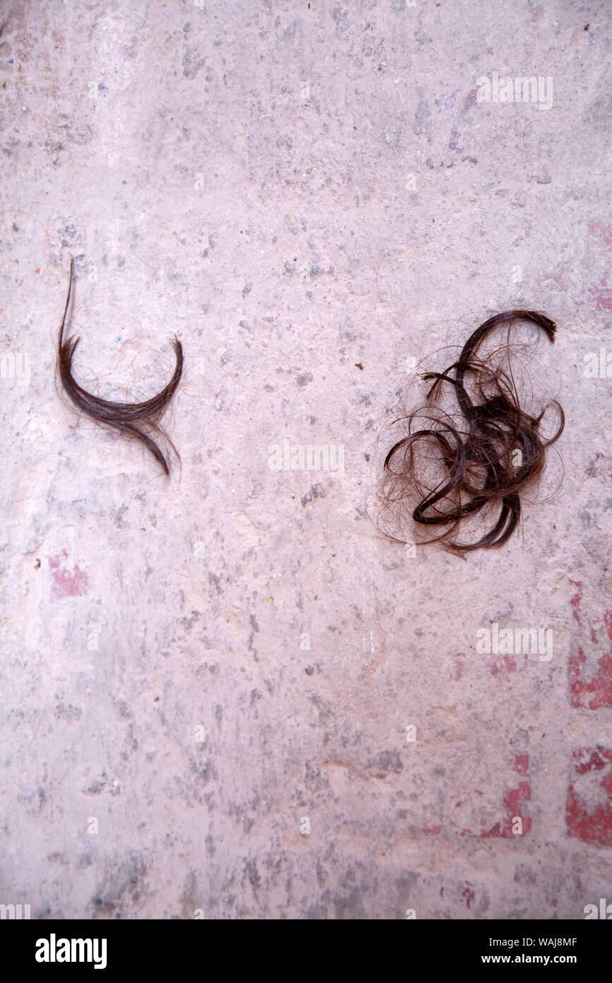 Loose Cut hair on Ground Stock Photo - Alamy