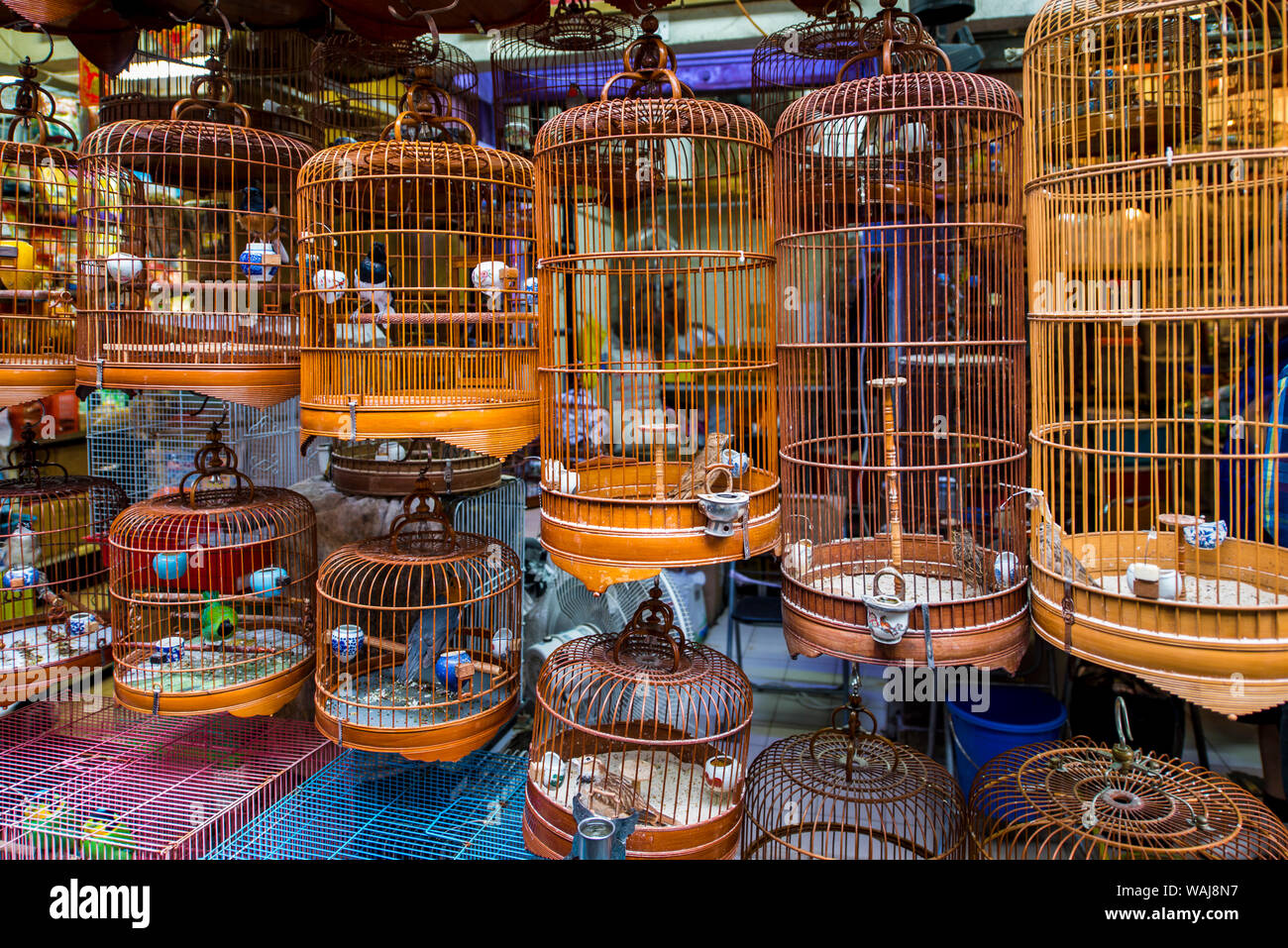 City bird cage hi-res stock photography and images - Alamy