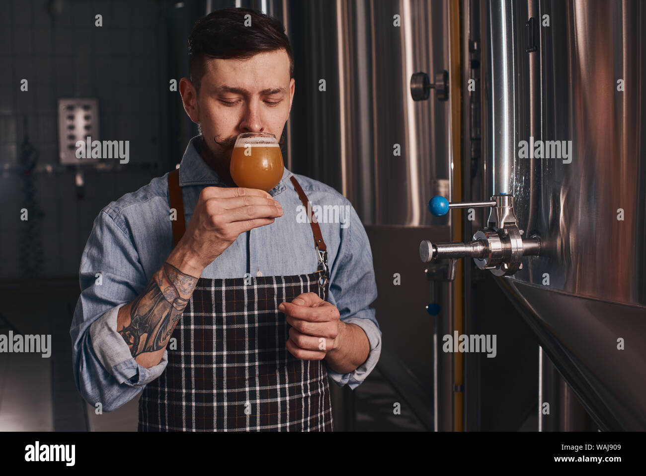 Tattooed man in tartan apron and denim shirt with a beard tastes beer from the glass he holds. Stock Photo