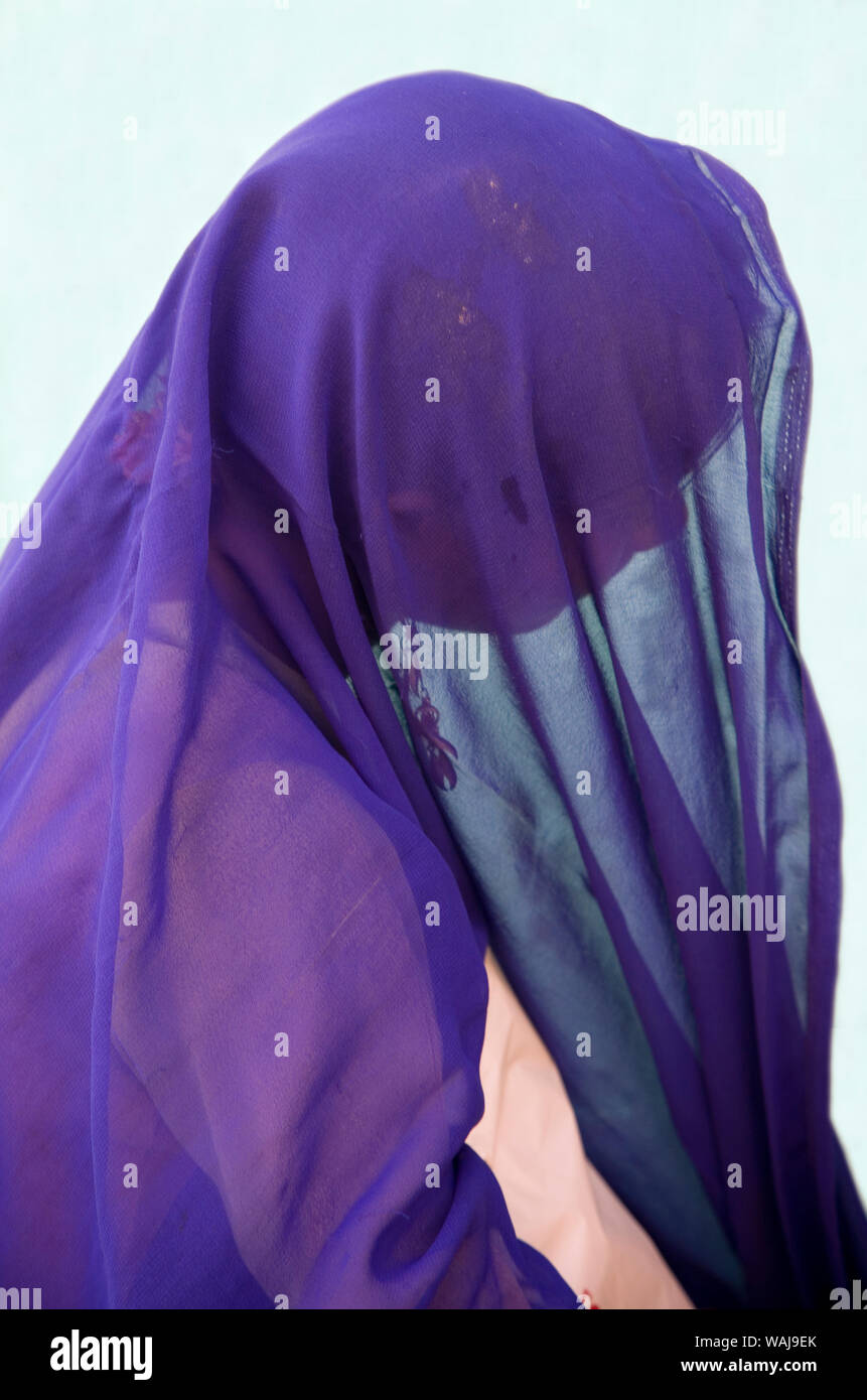 India, Rajasthan. Woman with veil over head. Credit as: Jim Nilsen / Jaynes Gallery / DanitaDelimont.com Stock Photo
