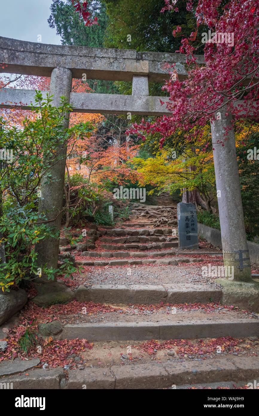 Tori, or gate signifying an entrance up steps in the Fall Stock Photo