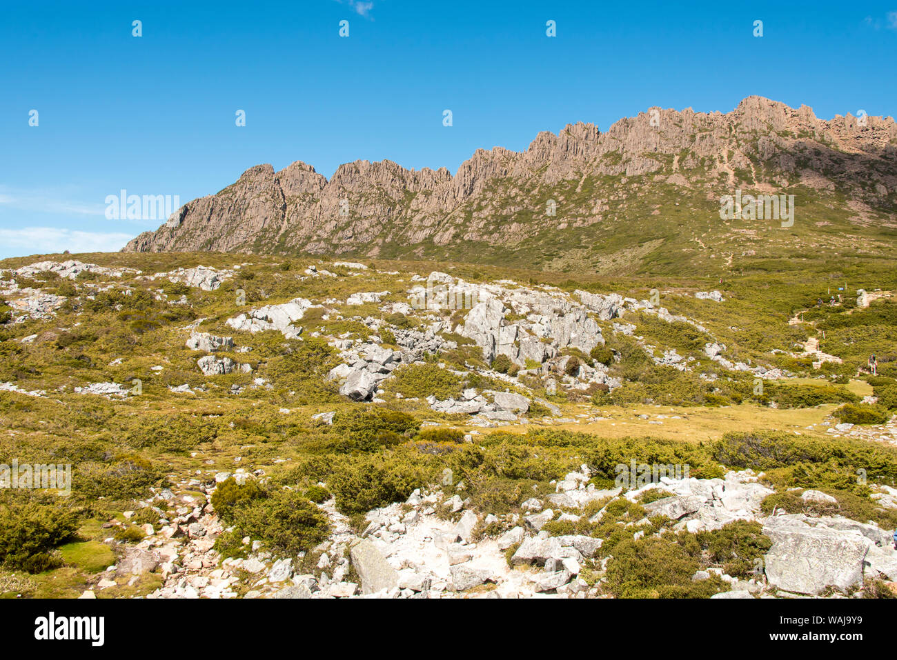 Australia, Tasmania, Cradle MountainLake St Clair National Park