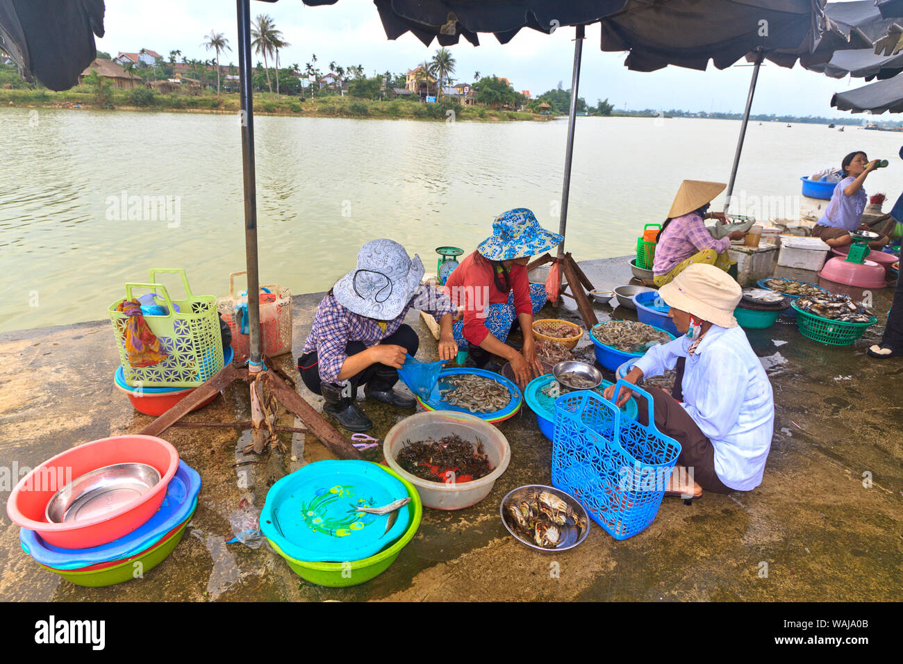 Hoi An, Vietnam. Women selling shrimp and crab at market along Thu Bon River. (Editorial Use