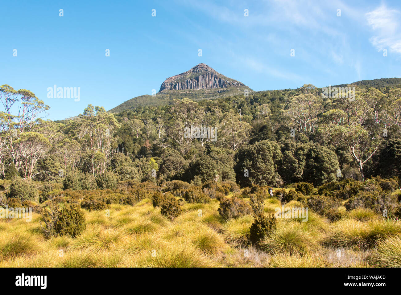 Cradle Mountain-Lake St Clair National Park. Overland Track. Mt Pelion ...