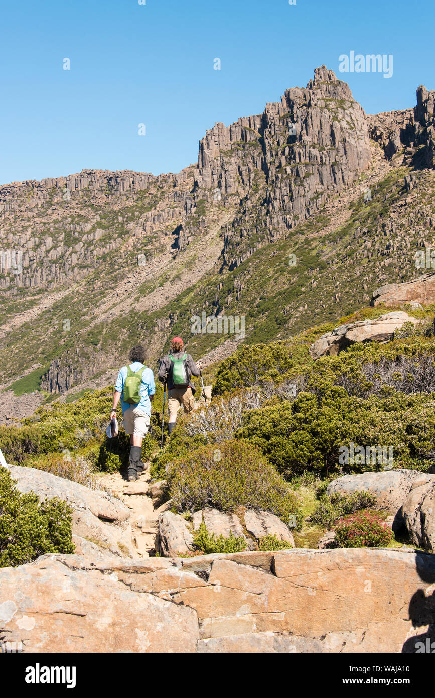 Australia, Tasmania, Cradle Mountain-Lake St Clair National Park. Hiker pass Japanese Gardens in route to Mount Ossa climb. Stock Photo