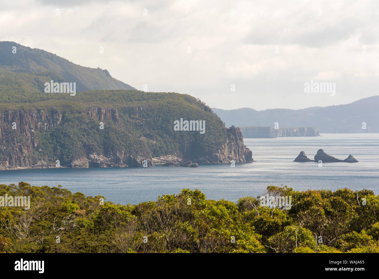 Australia, Tasmania. The Thumbs off Thumbs Point in Tasman Sea, Tasman Peninsula Stock Photo