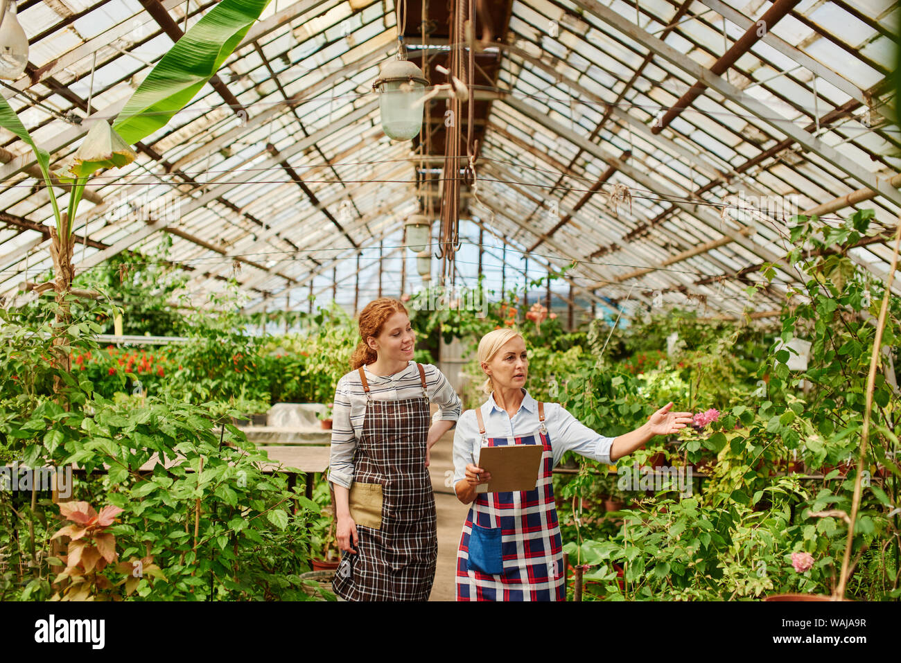 Teacher shows her student how to grow vegetables in the greeenhouse. Stock Photo