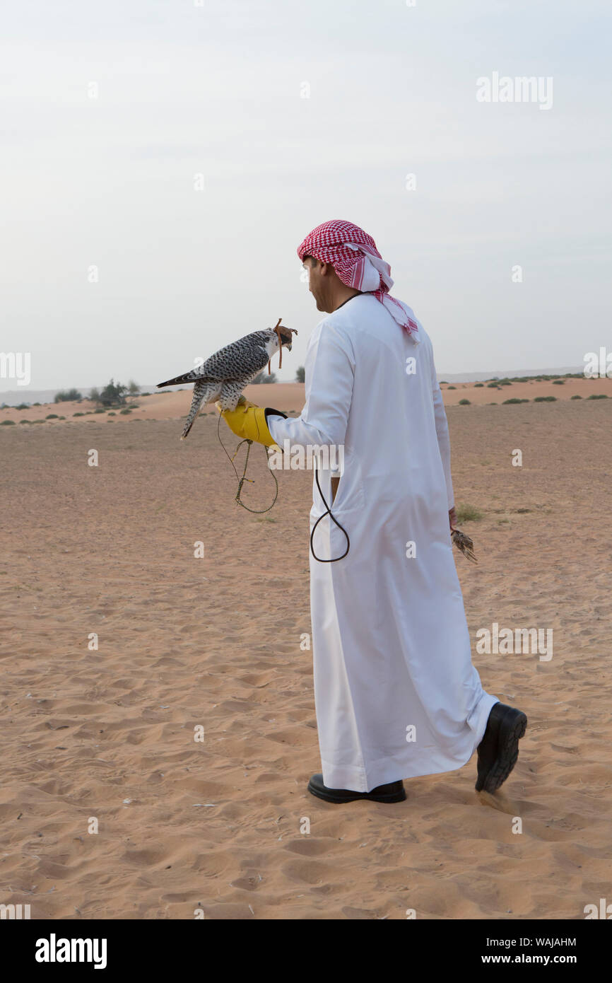 Falconry. Abu Dhabi, UAE. Stock Photo