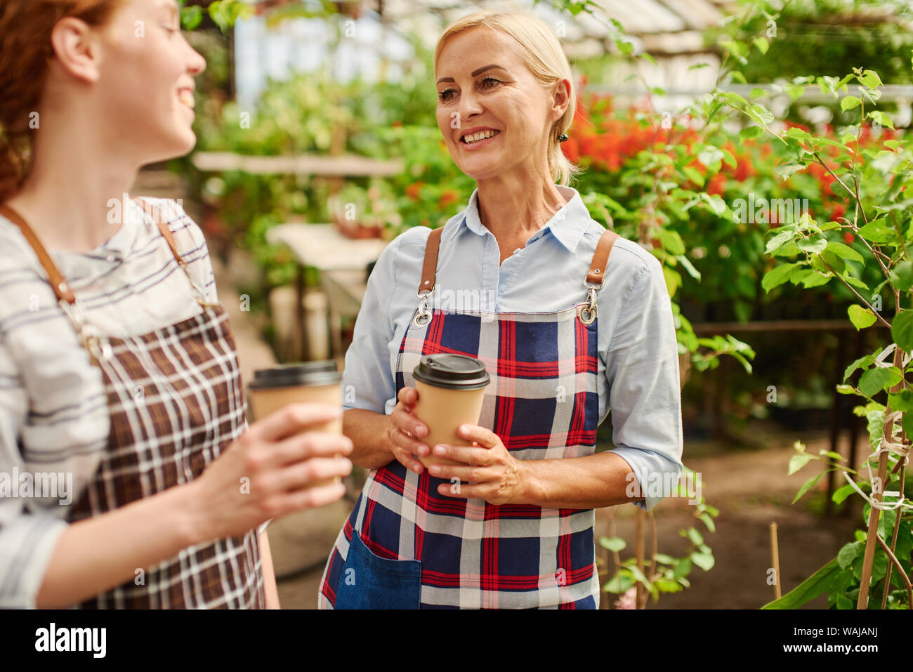 Farmer talks to her assistant during coffee break they both have in the greenhouse. Stock Photo