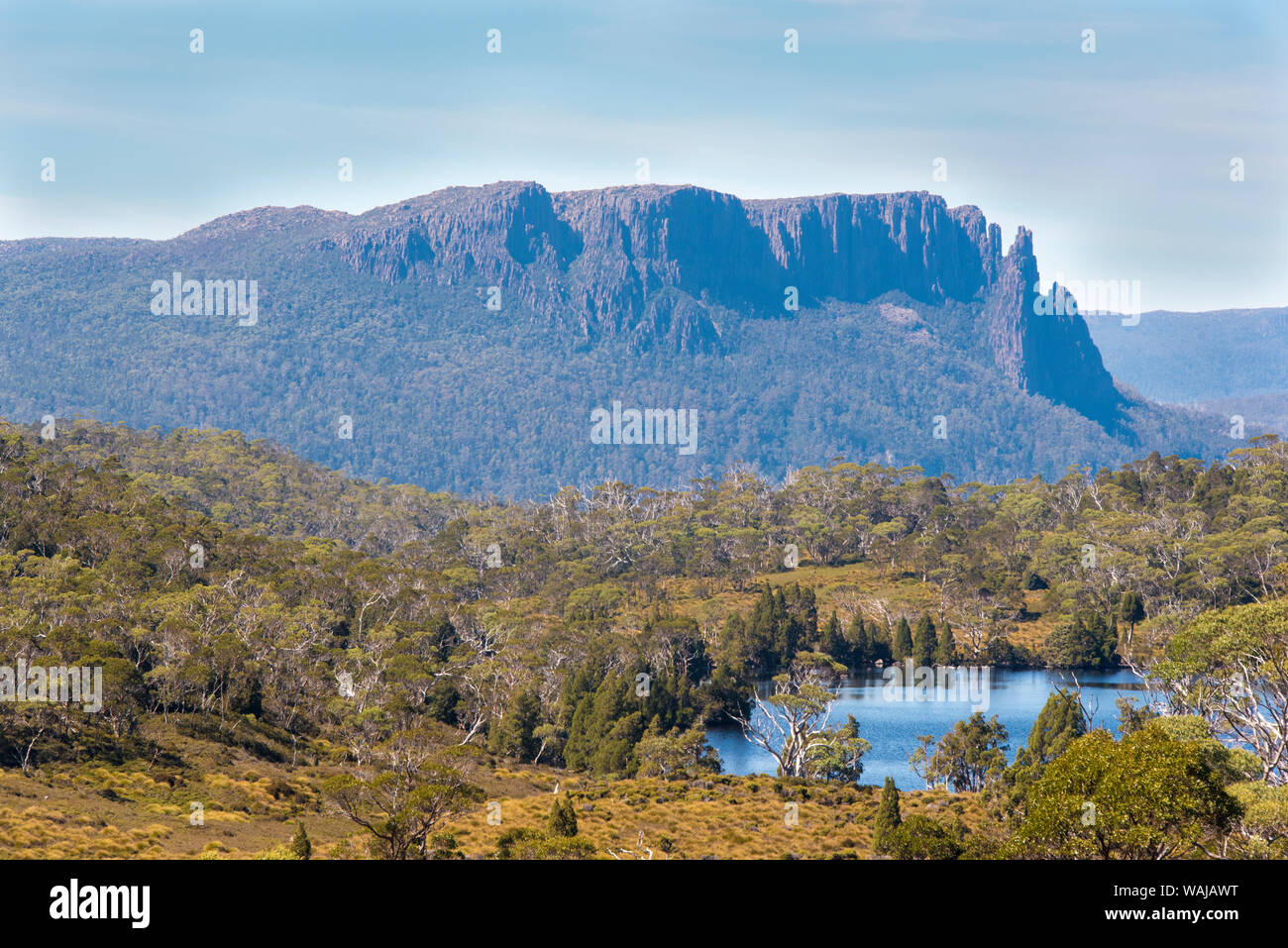 Australia, Tasmania. Cradle MountainLake St. Clair National Park. Lake