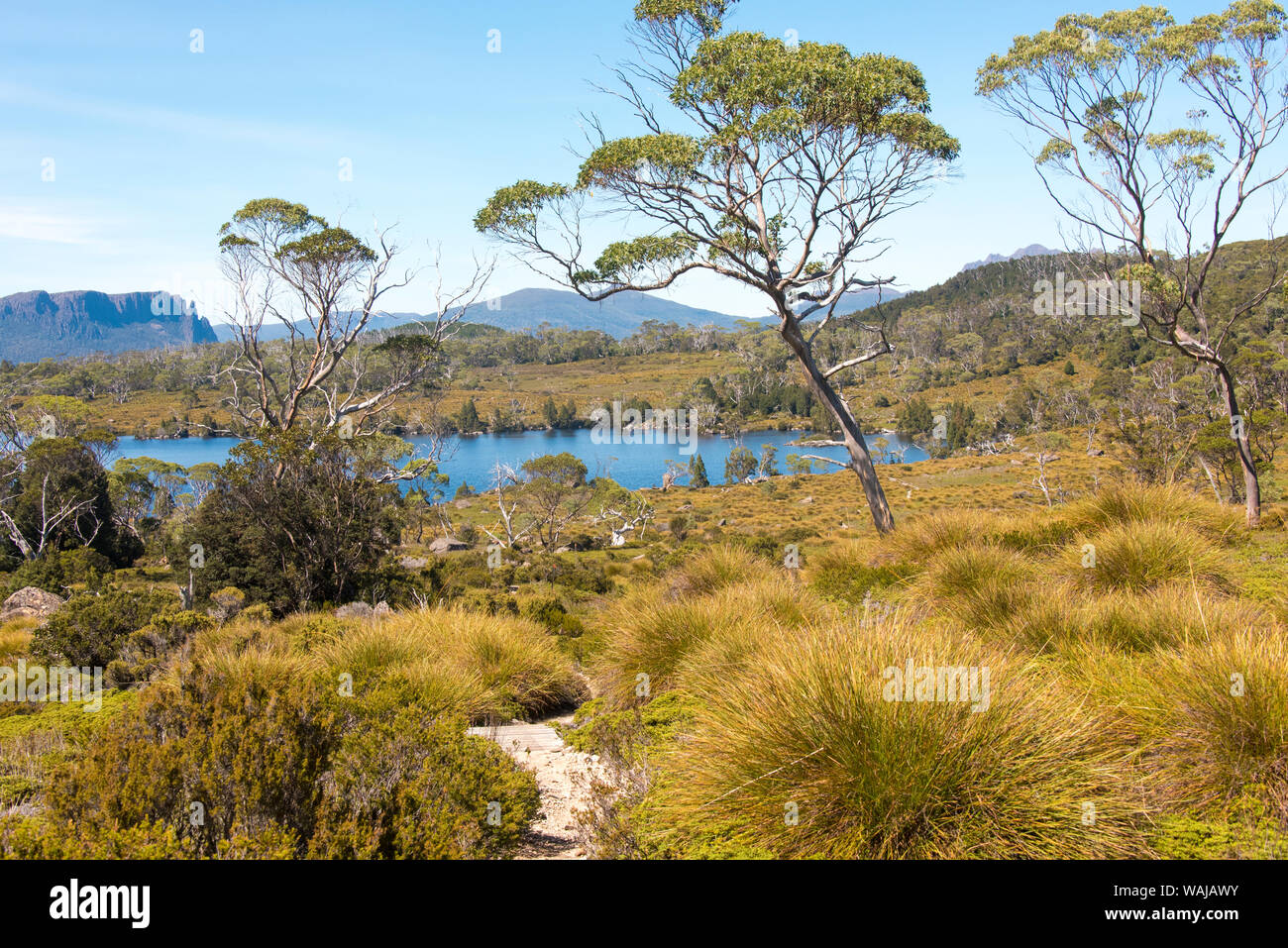 Mount cradle hires stock photography and images Alamy