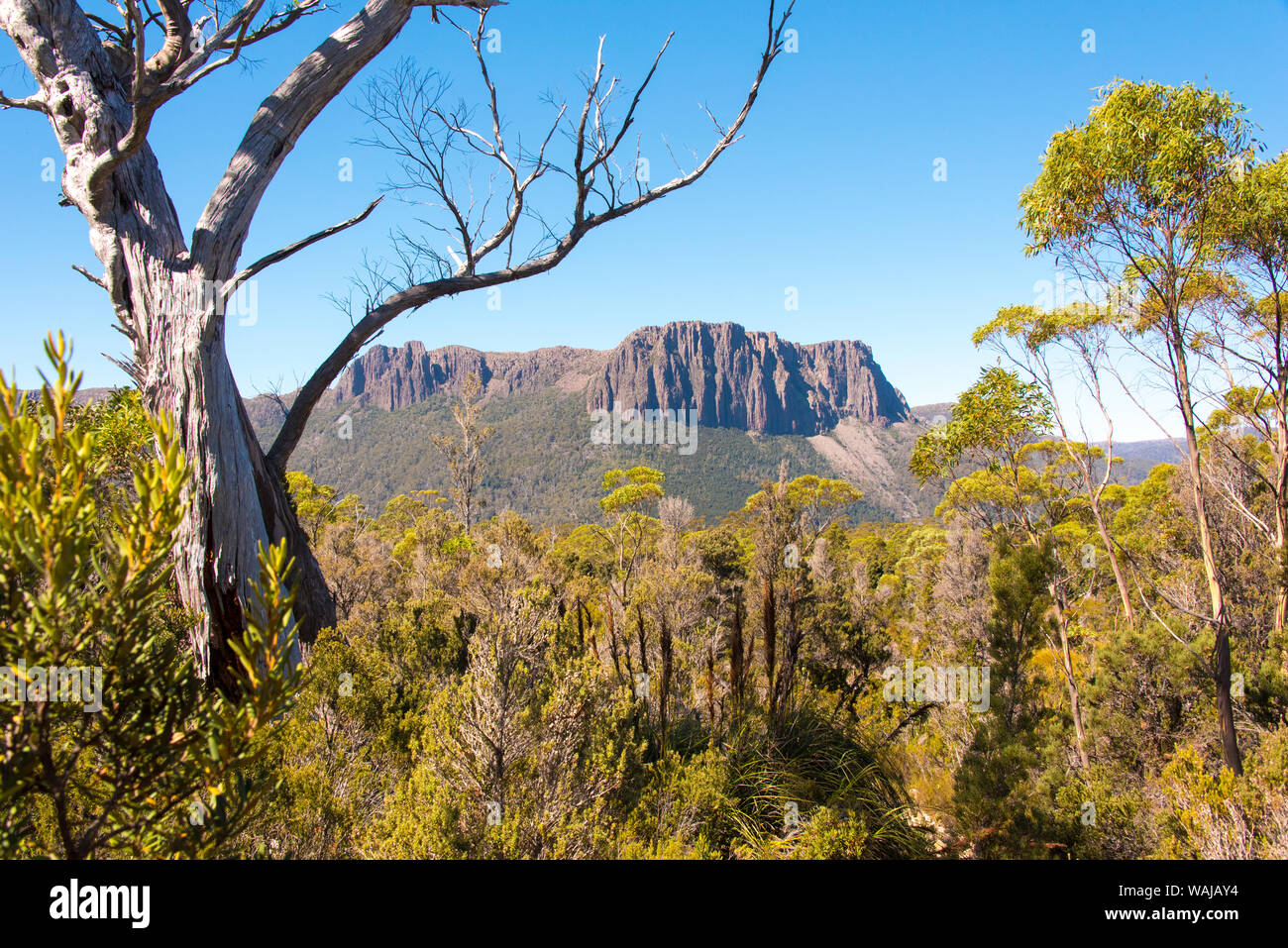 Hiking the Overland Track: Tasmania: Cradle Mountain - Lake St Clair National Park main image 0