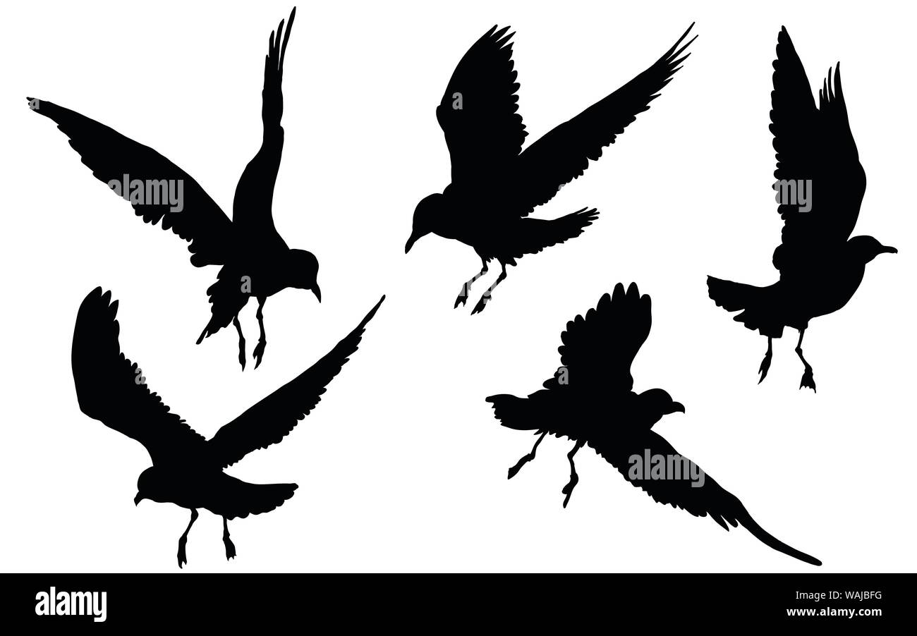 Birds flying. Gulls doves icon set Stock Vector