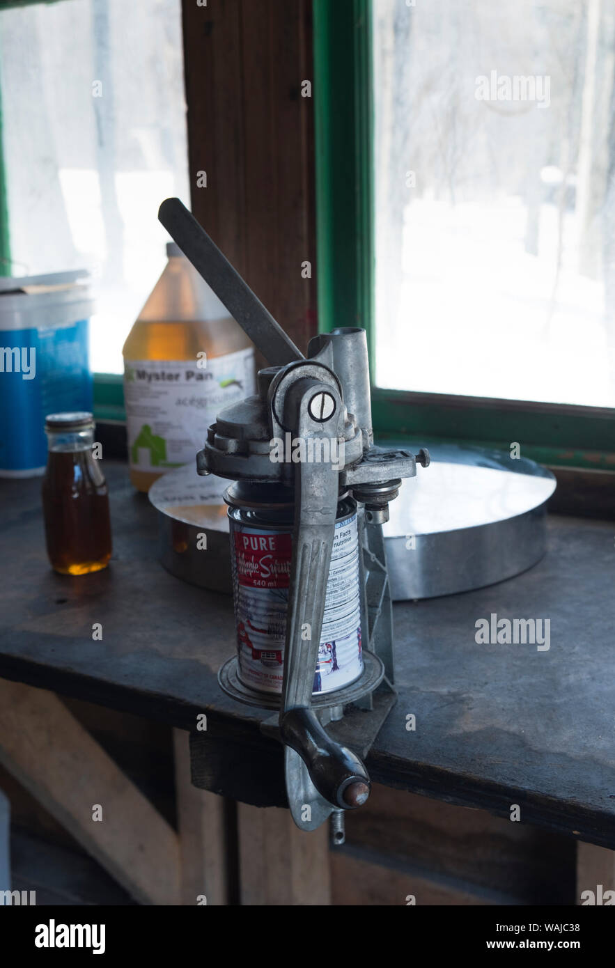 Canning maple syrup in sugar shack at Morgan Arboretum on Montreal Island, Quebec, Canada Stock Photo