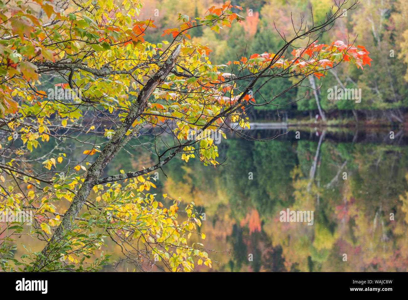 Canada, Quebec. MontTremblant Village, Lac Ouimet Stock Photo Alamy