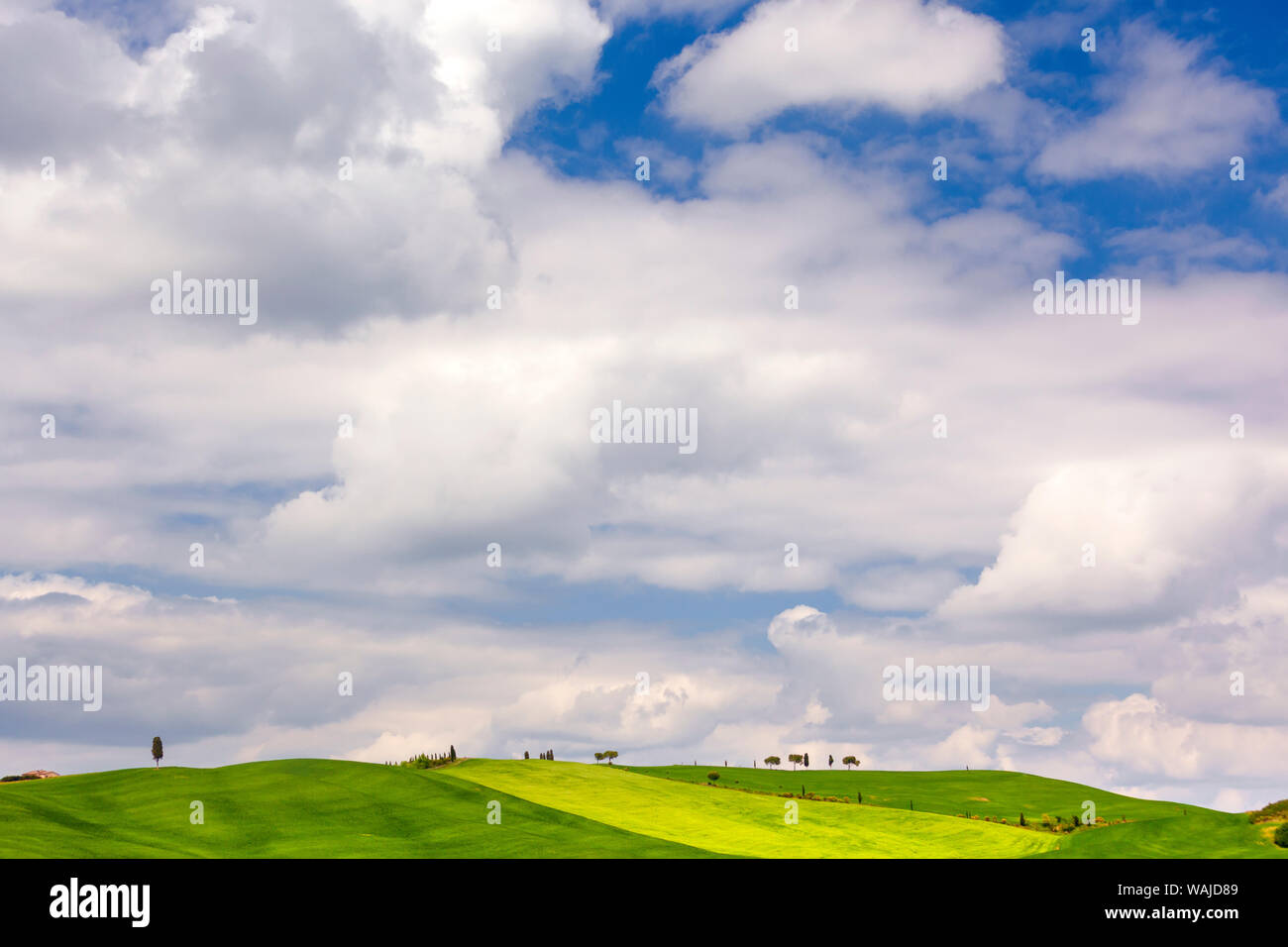 Europe, Italy, Tuscany, Val d' Orcia. Cloudy sky and agricultural landscape. Credit as: Jim Nilsen / Jaynes Gallery / DanitaDelimont.com Stock Photo