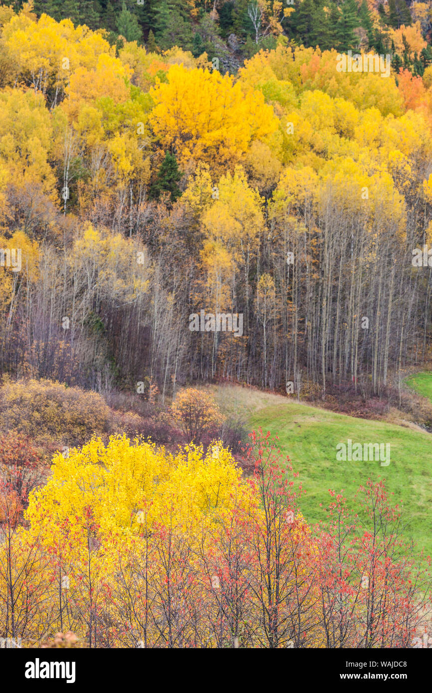 Lac rose hires stock photography and images Alamy