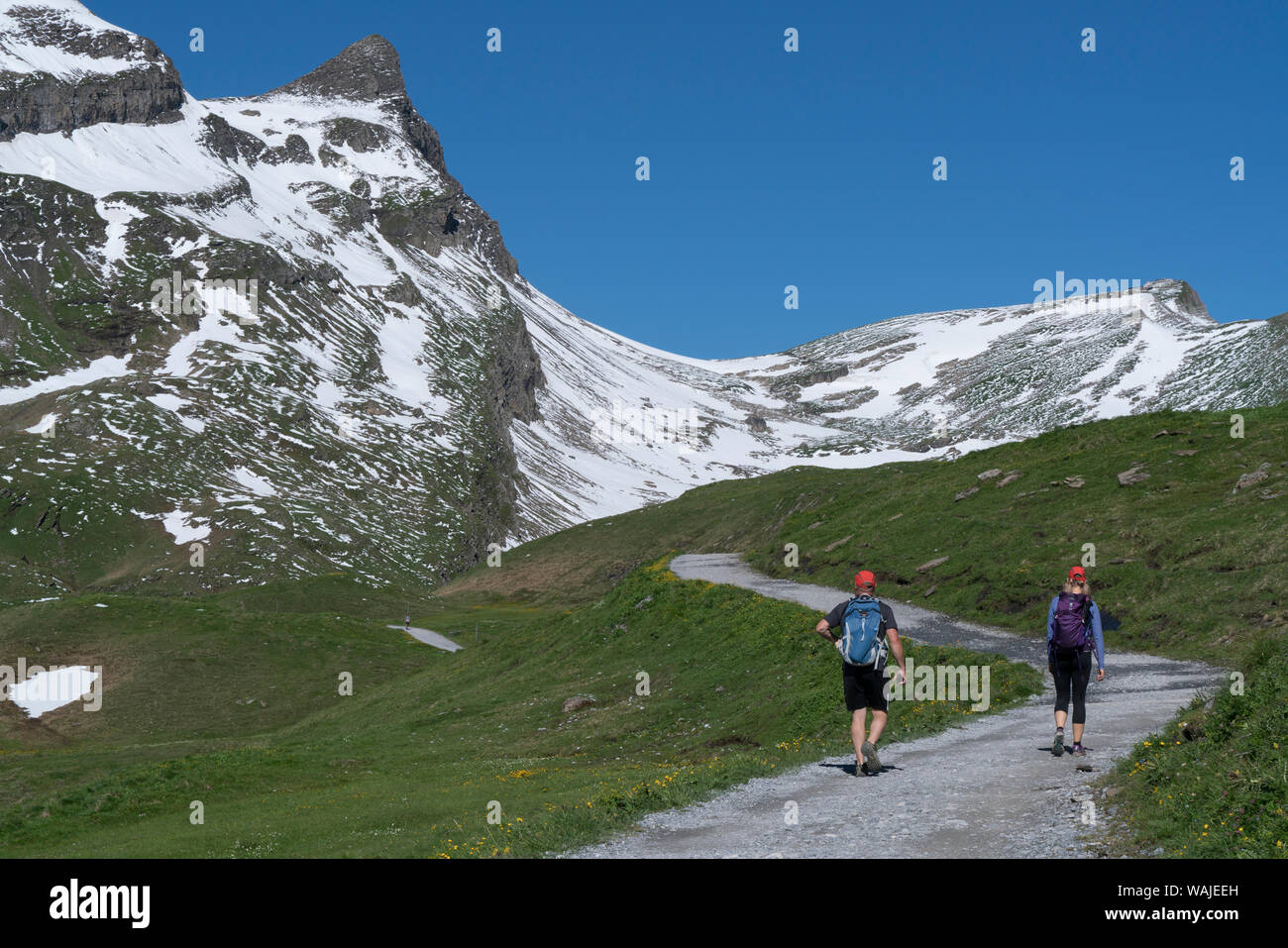 Switzerland, Bernese Oberland. Hikers along the trail near Bachalpsee. (Editorial Use Only) Stock Photo