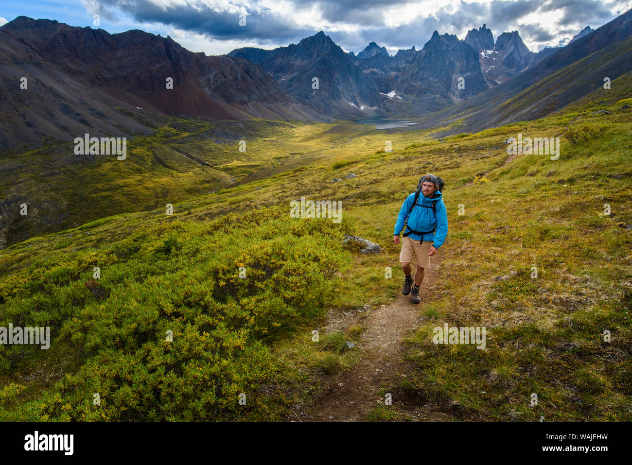 Canada, Yukon, Tombstone Territorial Park. Grizzly Lake Trail, hiker enjoying the outdoors. (MR) Stock Photo