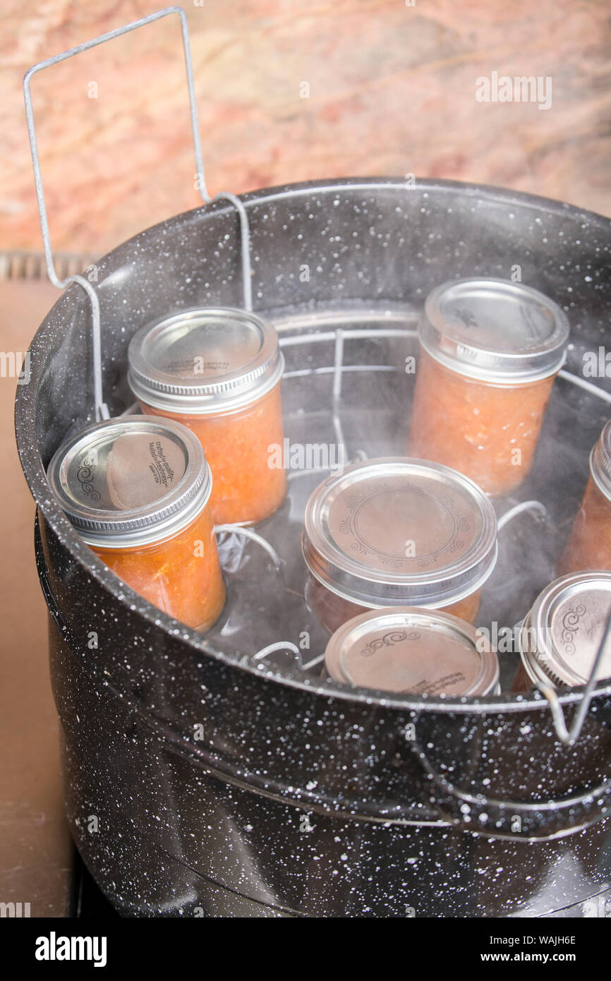 https://c8.alamy.com/comp/WAJH6E/jars-of-apricot-jam-resting-on-a-canner-rack-in-a-boiling-water-canner-canner-racks-simplify-the-canning-process-by-helping-you-safely-get-a-load-of-jars-into-and-out-of-a-pot-of-boiling-water-WAJH6E.jpg