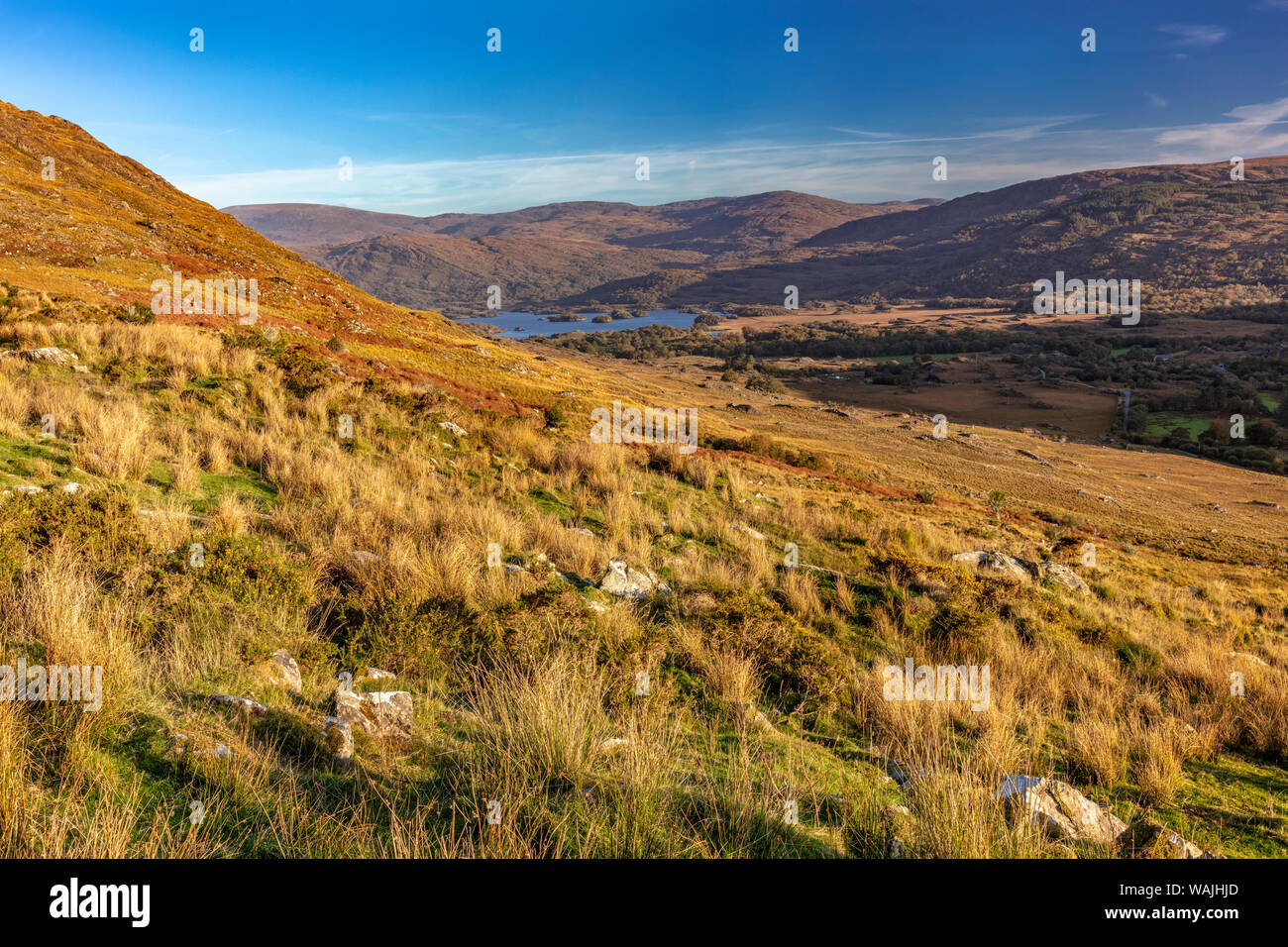 View of Upper Lake from Black Valley in Killarney National park