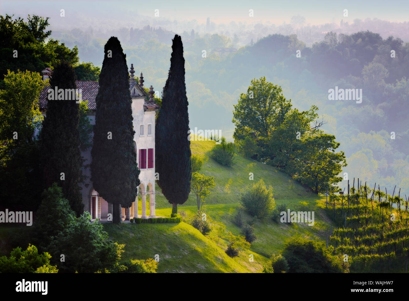 Italy, Veneto, Asolo. Country house and cypress trees. Credit as: Jim Nilsen / Jaynes Gallery / DanitaDelimont.com Stock Photo