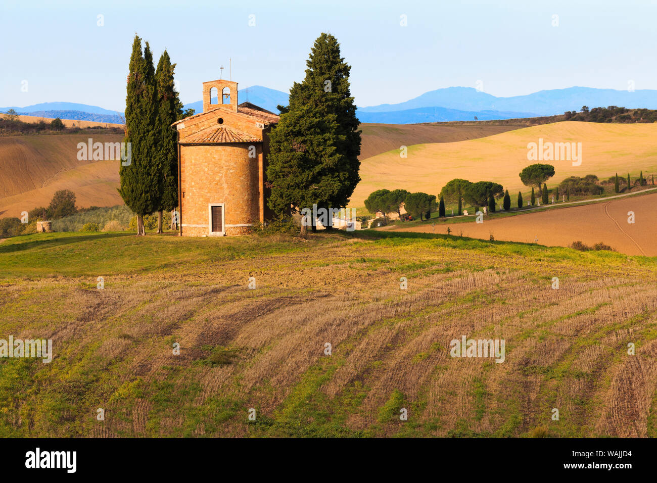 Italy, Tuscany, San Quirico d'Orcia. The Chapel of Our Lady of Vitaleta. Old small chapel and cypress trees. Stock Photo