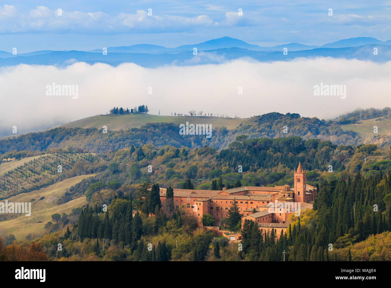 Italy, Tuscany, Province Of Siena, Asciano. Hill Town, Center Of.
