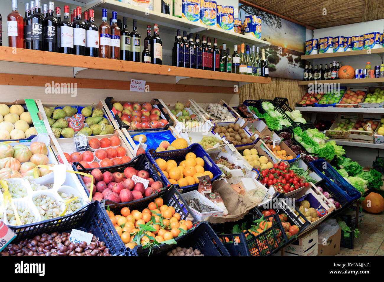 Italian Small Store Italy, Greve in Chianti. Local small neighborhood grocery store Stock ...