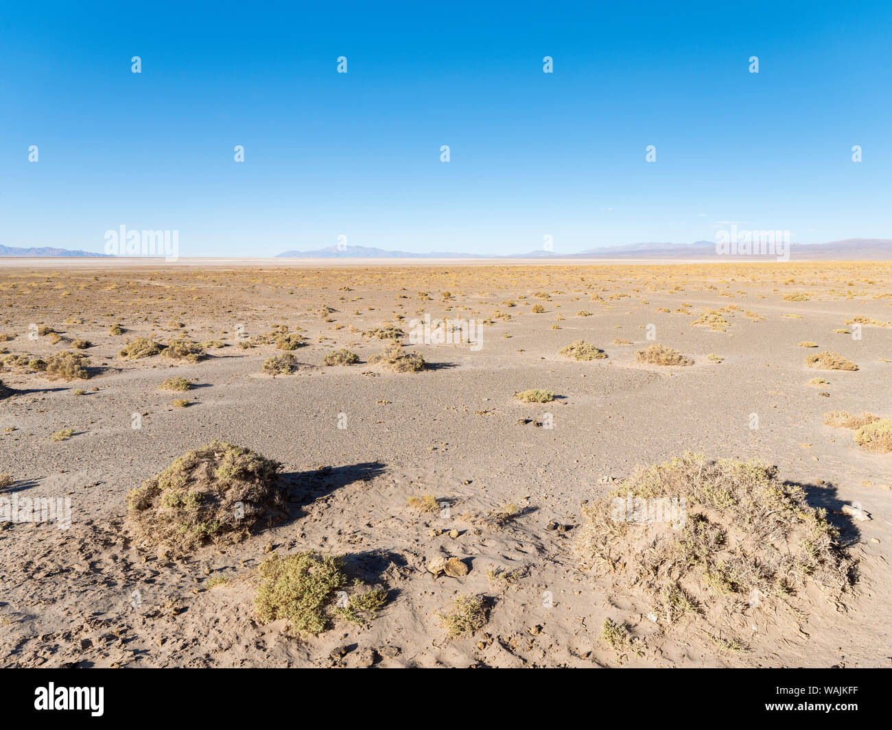 Landscape at Salinas Grandes salt flats in the Altiplano, Argentina ...