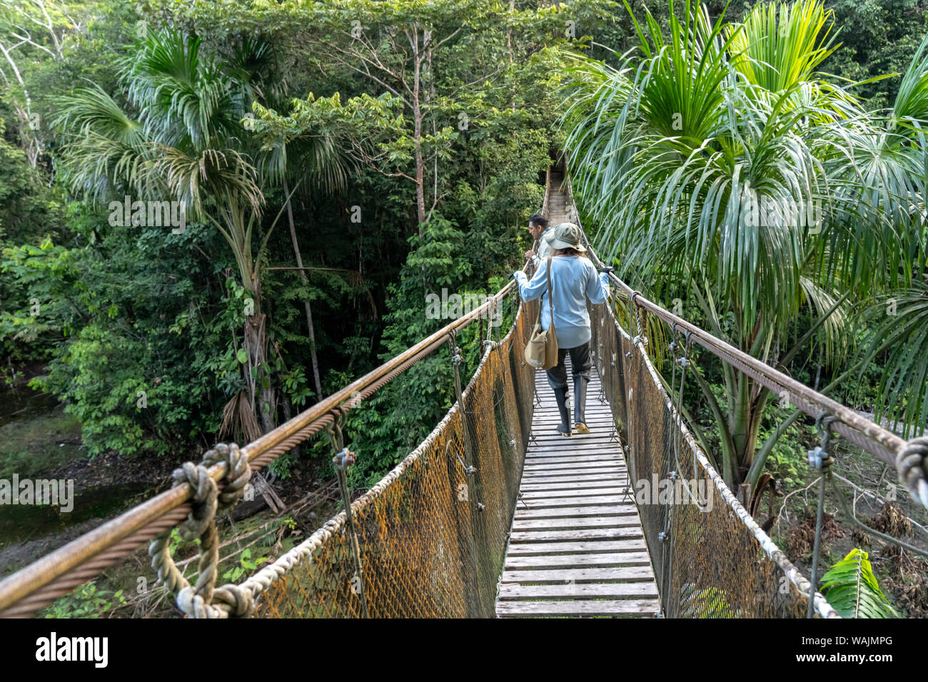 Amazon National Park, Peru. Tour guide and tourist walking on a wooden