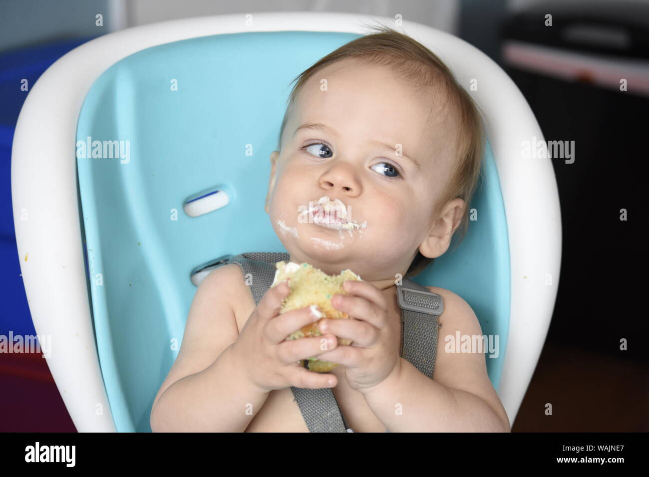 1 year old boy eating birthday cupcake (MR) Stock Photo