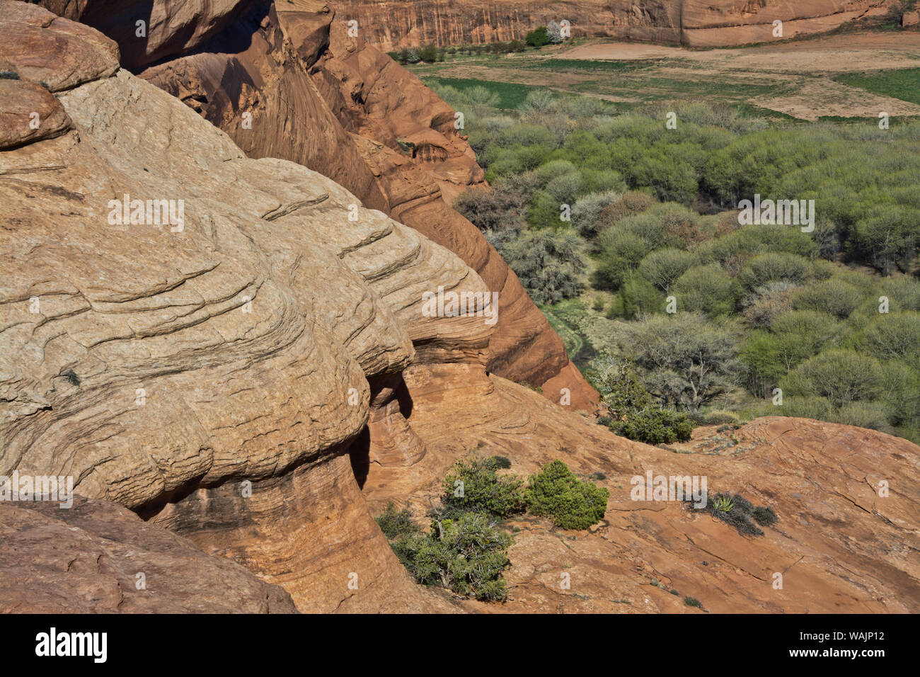 Canyon de Chelly, Chinle, Arizona, USA Stock Photo Alamy