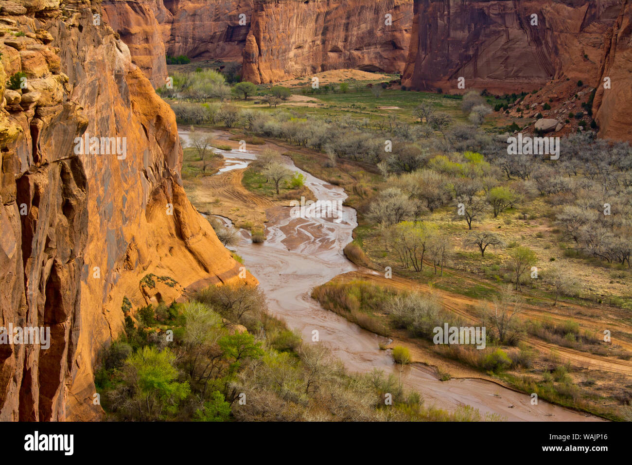 Canyon de Chelly, Chinle, Arizona, USA Stock Photo Alamy