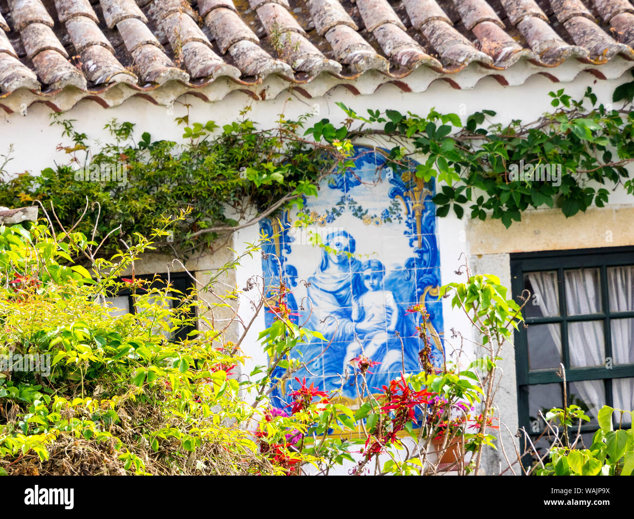 Flowers growing up walls hi-res stock photography and images - Alamy