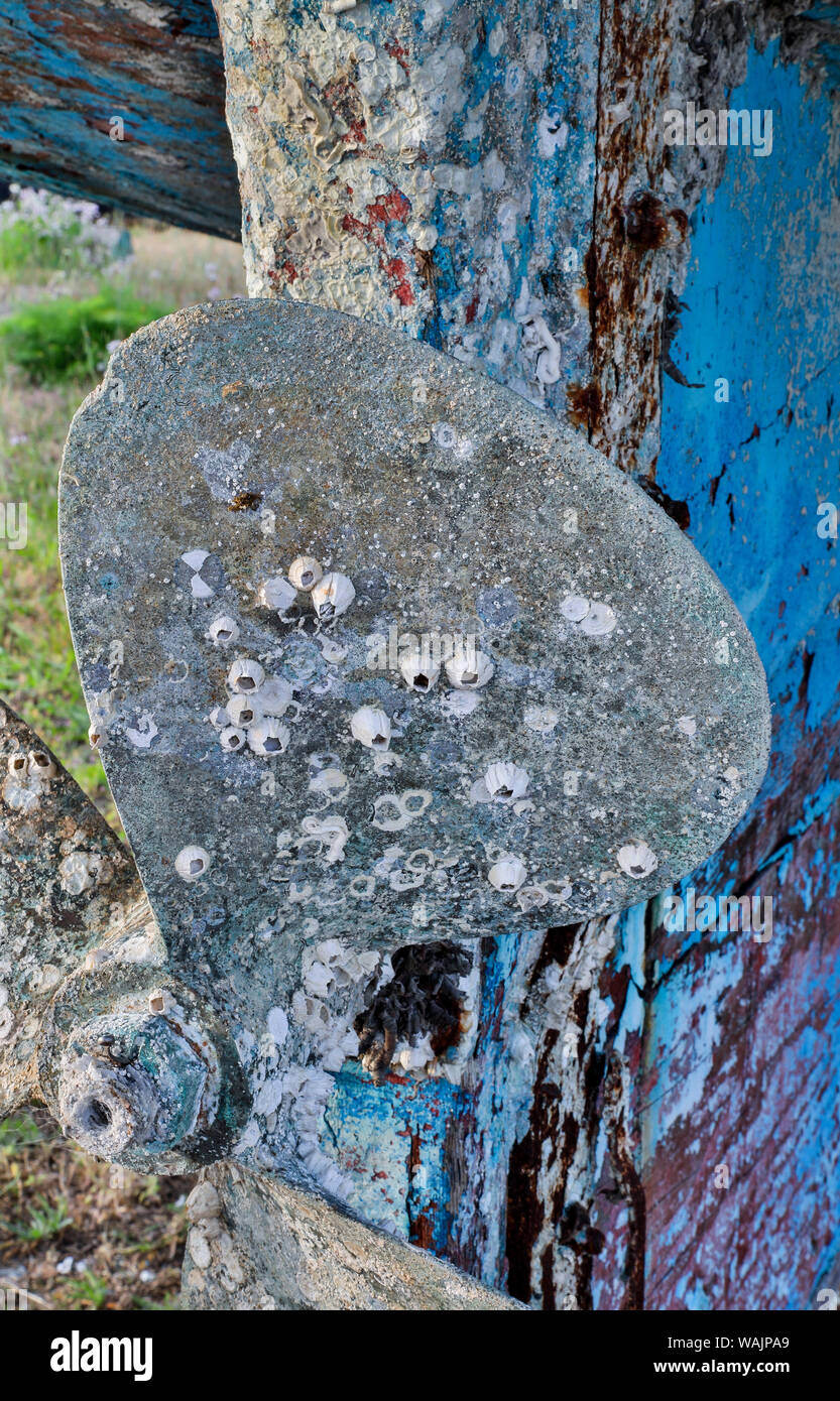 Prop with barnacles on old fishing boat, Crescent City, Northern California Stock Photo